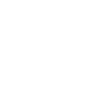 Lisa Wendell
